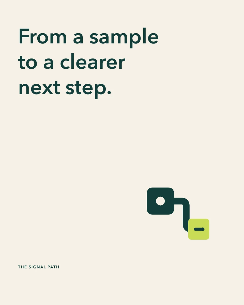 Dayline Diagnostics social portrait explaining the sample-to-result Signal Path idea.
