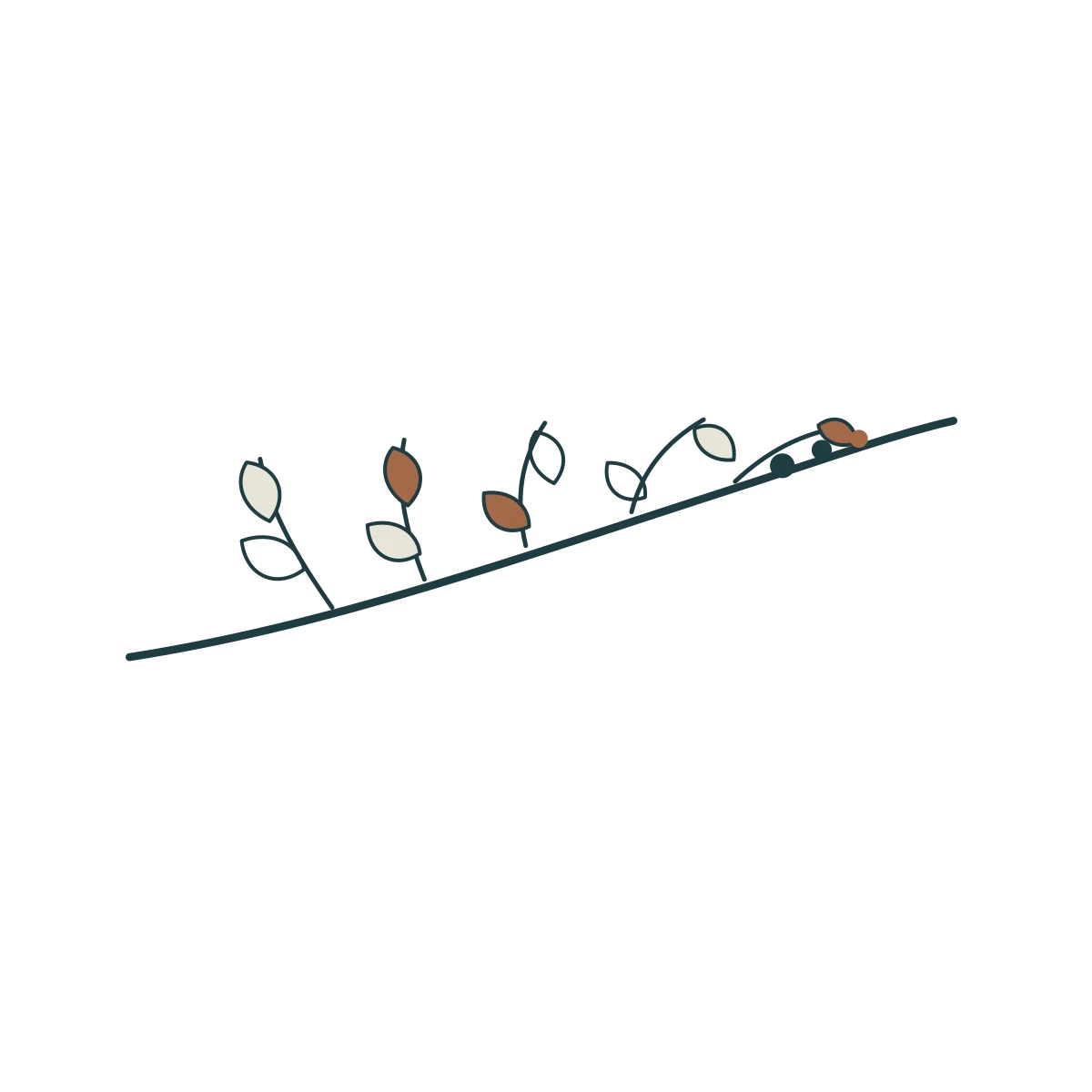 Interval House: illustration olive sprig. Vector identity and application artwork.